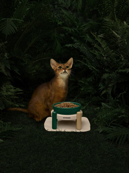 CEDAR Ceramic Pet Bowl & Mat Set (2) — styled in a home setting
