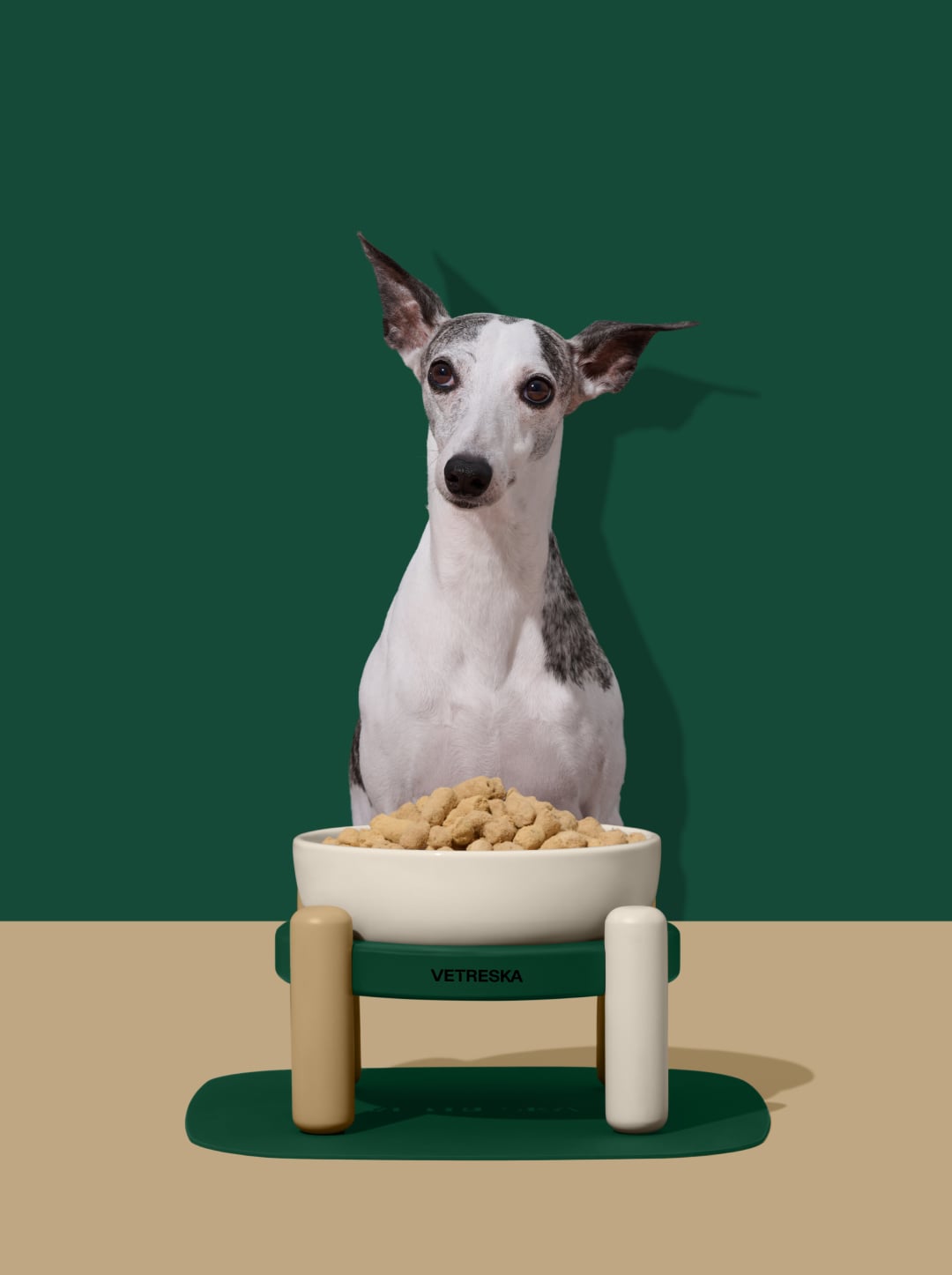 CEDAR Ceramic Pet Bowl & Mat Set — in use