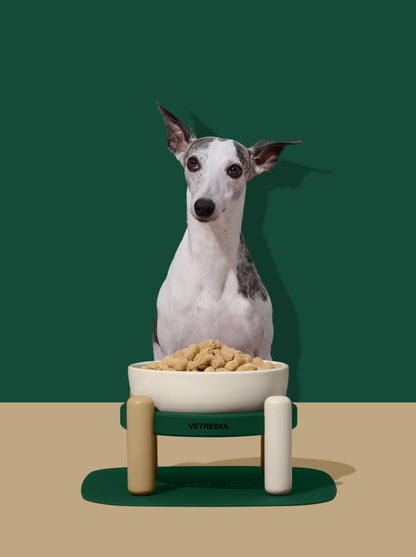 CEDAR Ceramic Pet Bowl & Mat Set — in use
