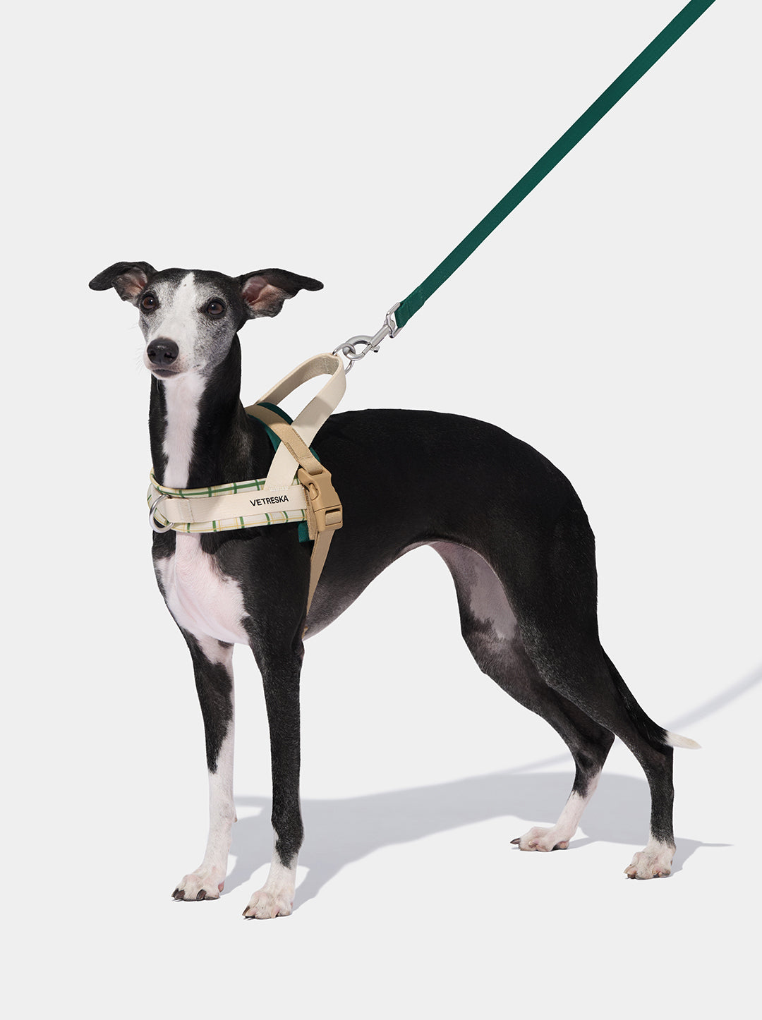 CEDAR Pet Harness & Leash Set — main product photo