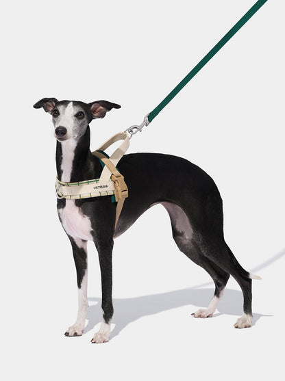 CEDAR Pet Harness & Leash Set — main product photo