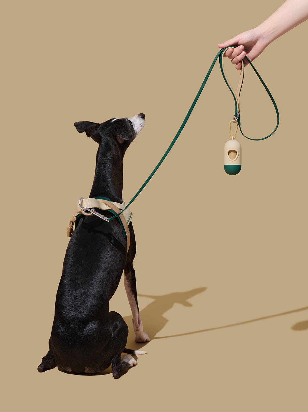 CEDAR Pet Walk Kit — detail shot