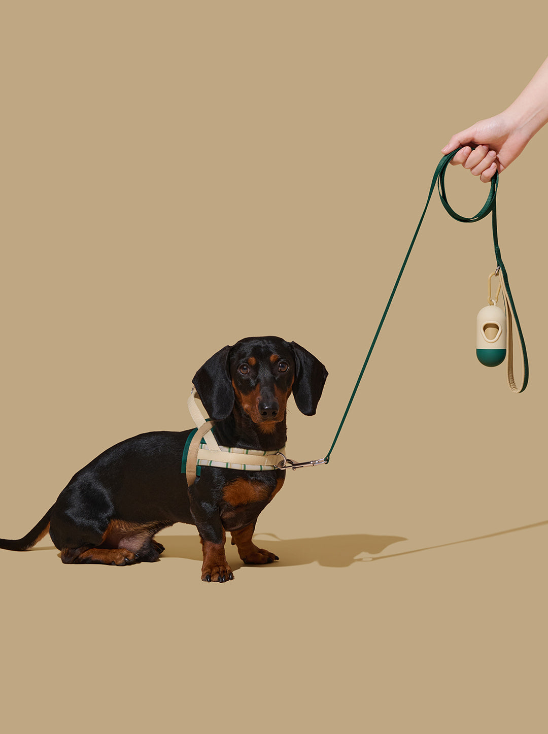 CEDAR Pet Walk Kit — alternative angle