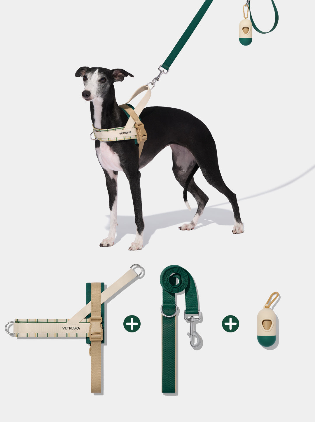 CEDAR Pet Walk Kit — styled in a home setting