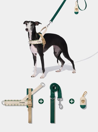CEDAR Pet Walk Kit — styled in a home setting