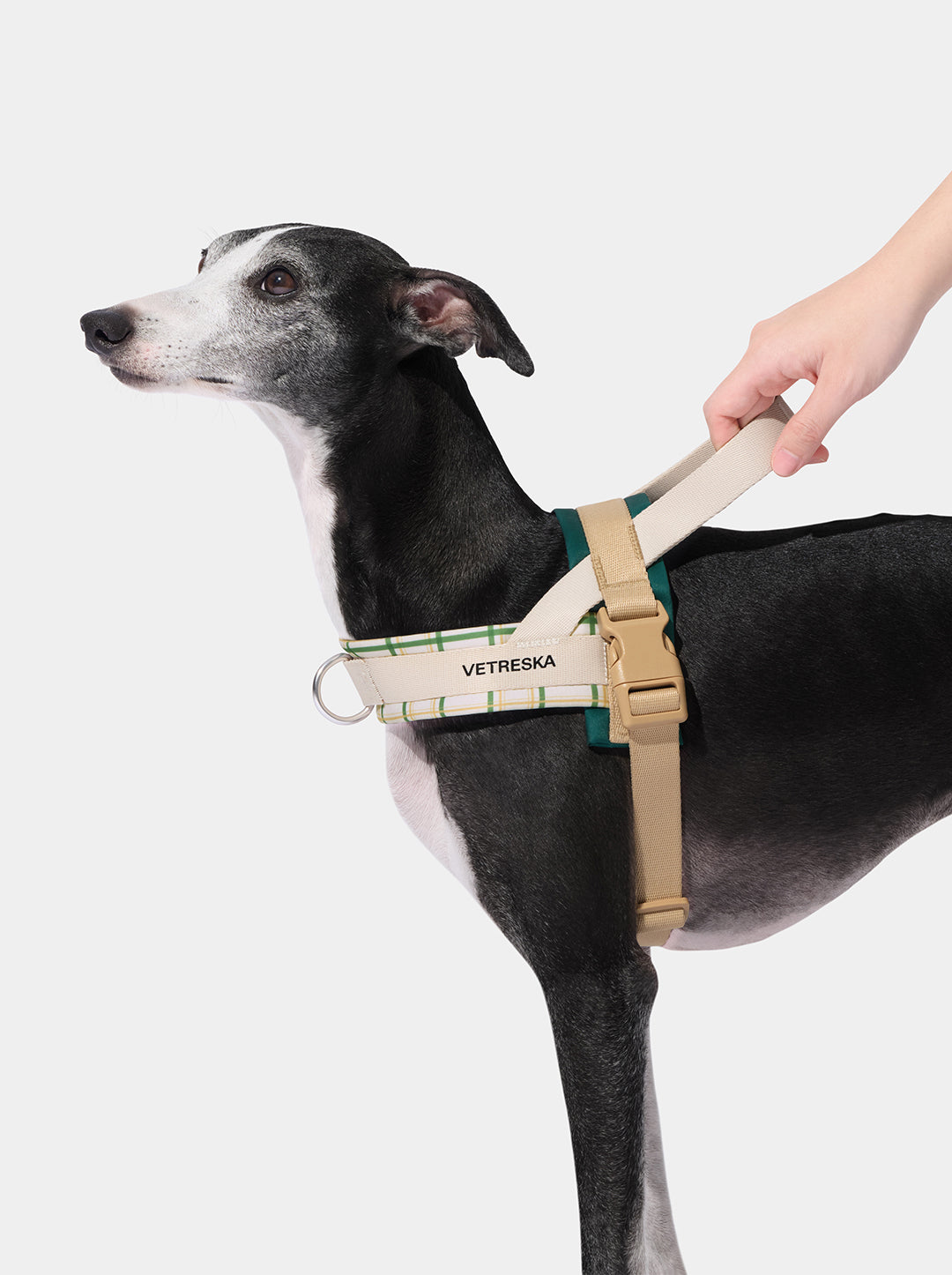 CEDAR Pet Walk Kit — in use
