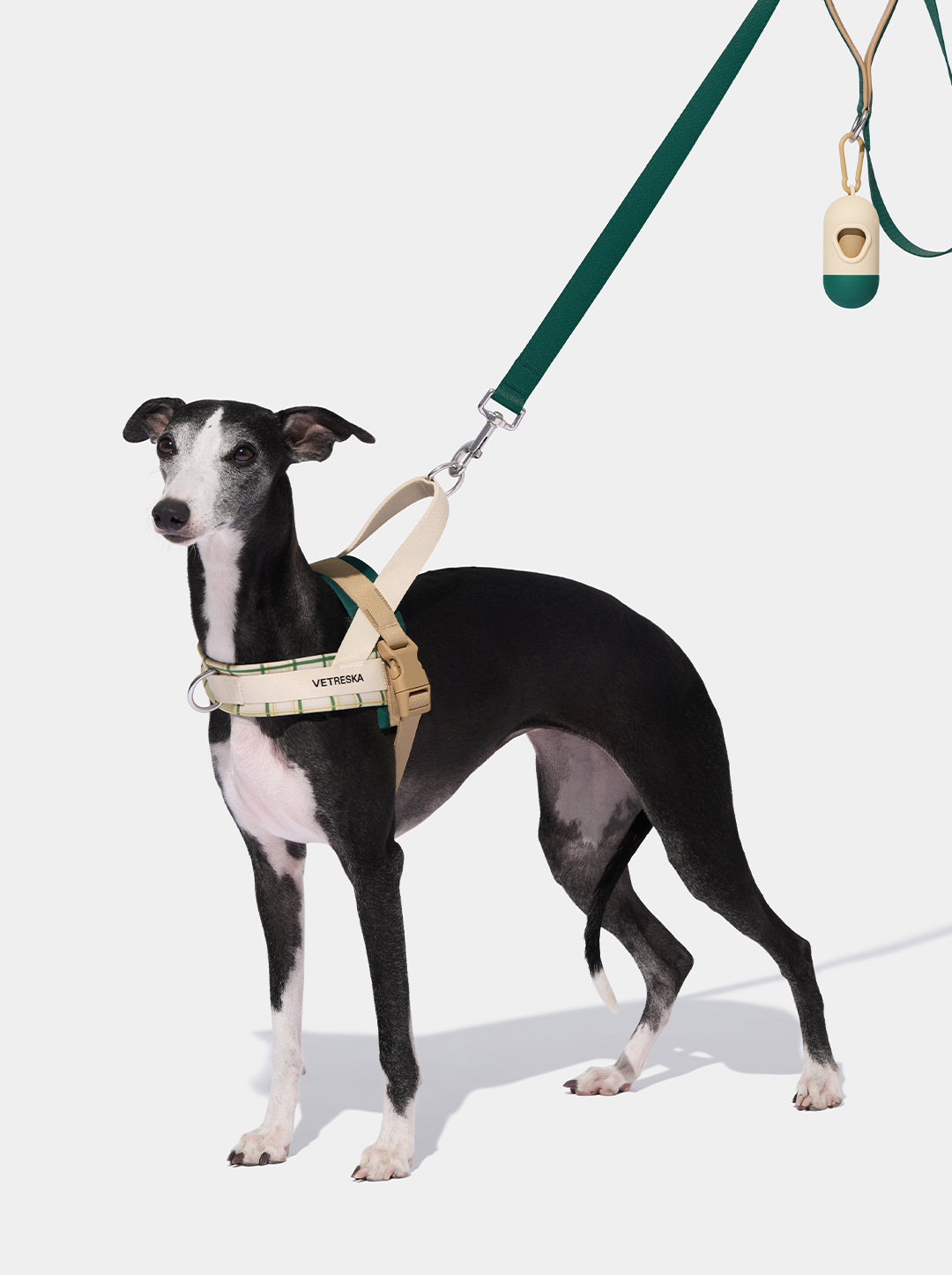 CEDAR Pet Walk Kit — main product photo