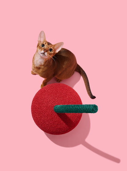CERISE Cat Scratching Ball — detail shot