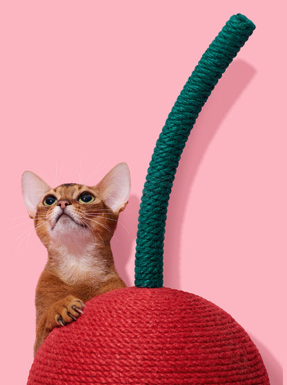 CERISE Cat Scratching Ball — close-up detail
