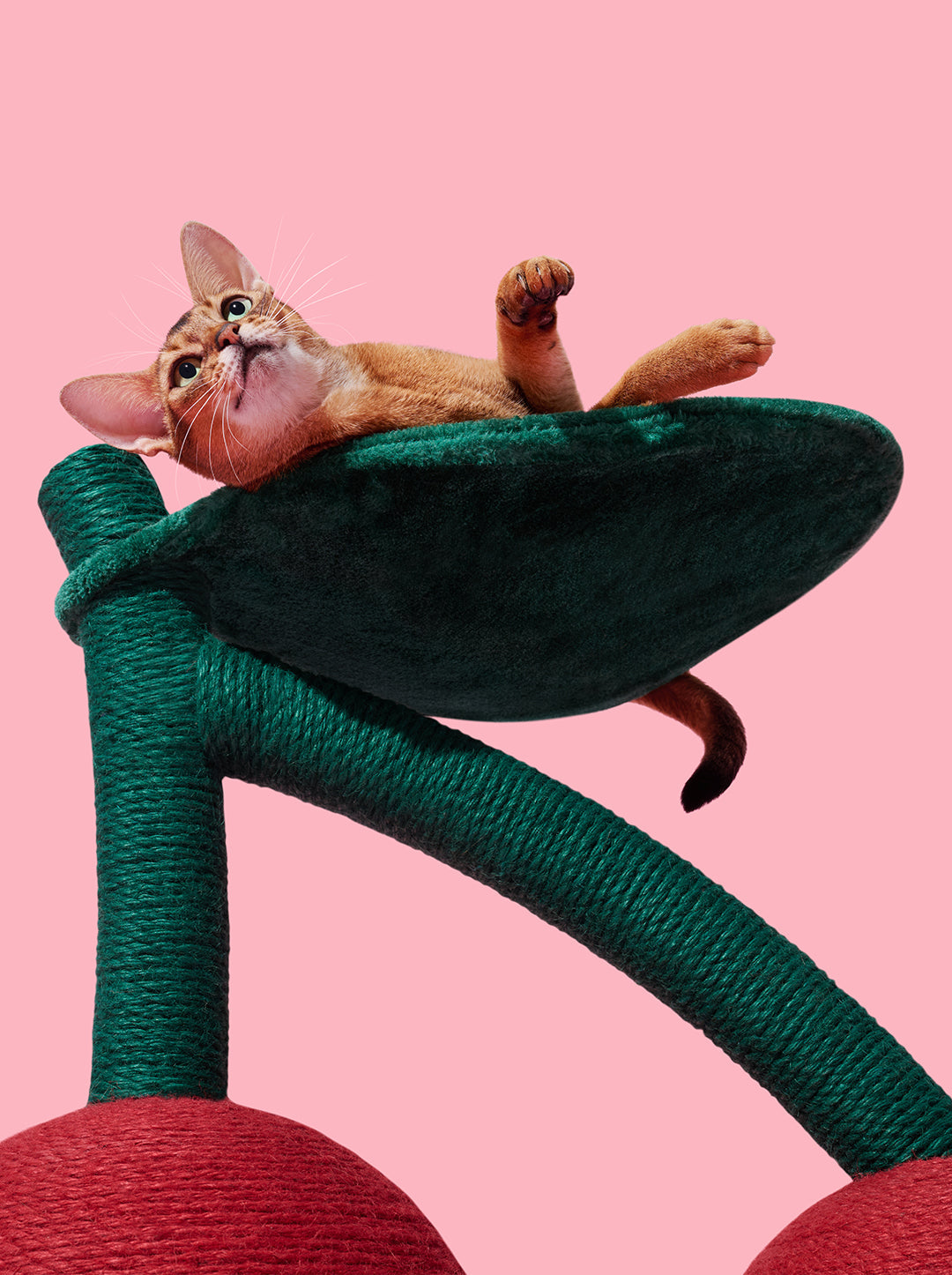 CERISE Cat Tree — detail shot