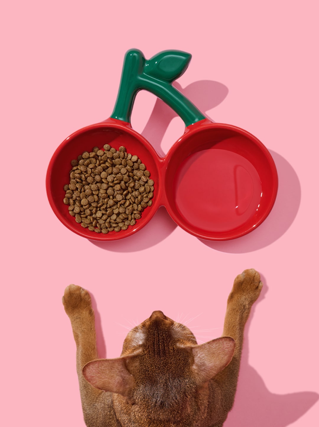 CERISE Ceramic Pet Bowl — Bowls — in use