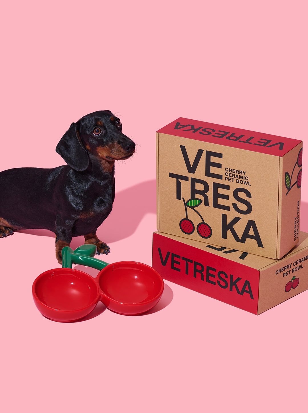 CERISE Ceramic Pet Bowl — close-up detail