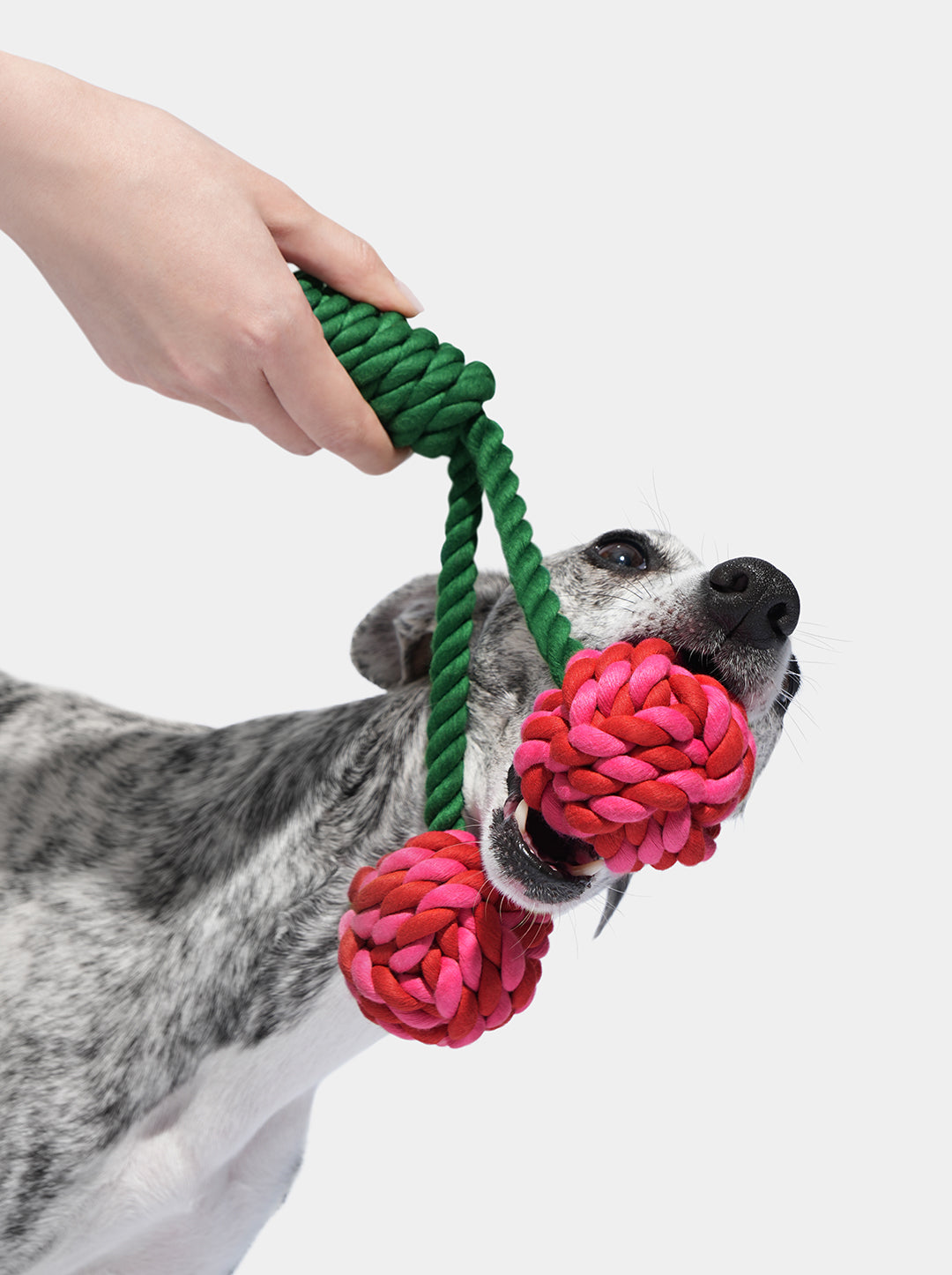 CERISE Knot Rope Toy — close-up detail