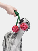 CERISE Knot Rope Toy — main product photo