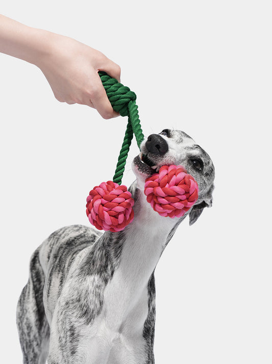 CERISE Knot Rope Toy — main product photo