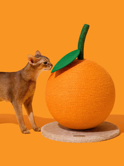 CITRUS Cat Scratching Ball — close-up detail