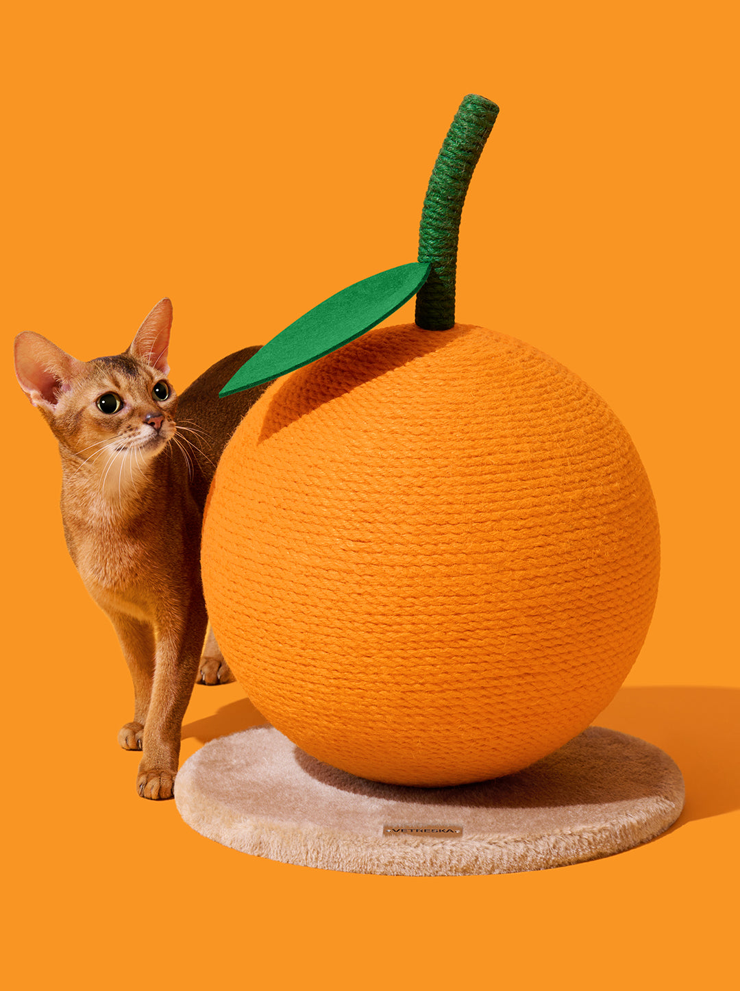CITRUS Cat Scratching Ball — in use