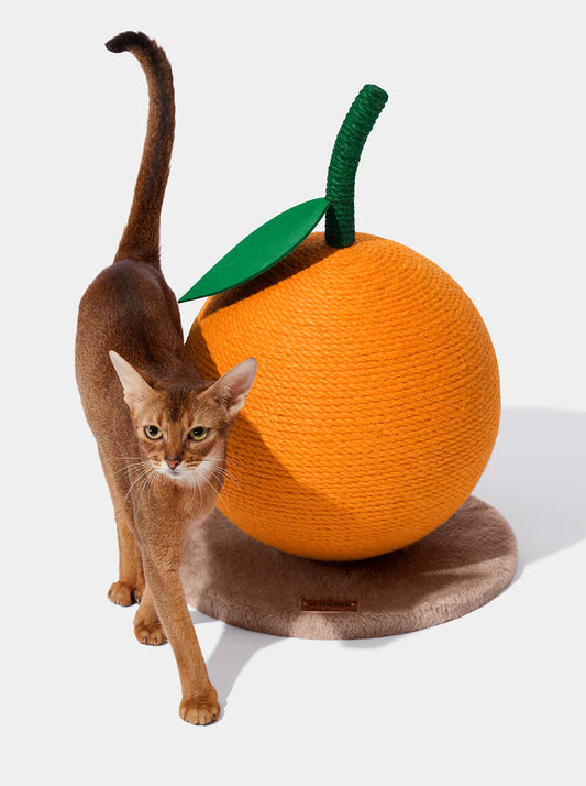 CITRUS Cat Scratching Ball — main product photo