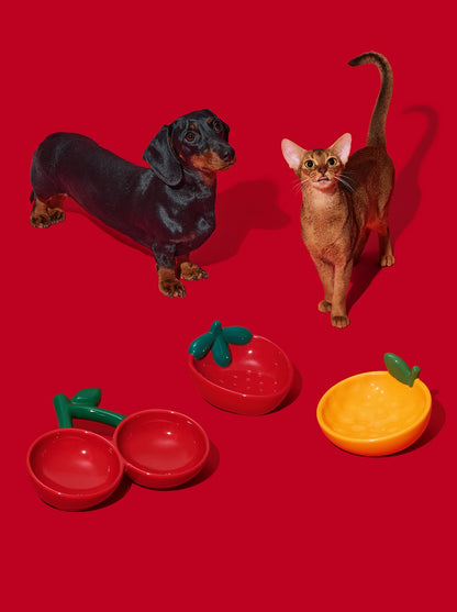 CITRUS Ceramic Pet Bowl (2) — packaging view