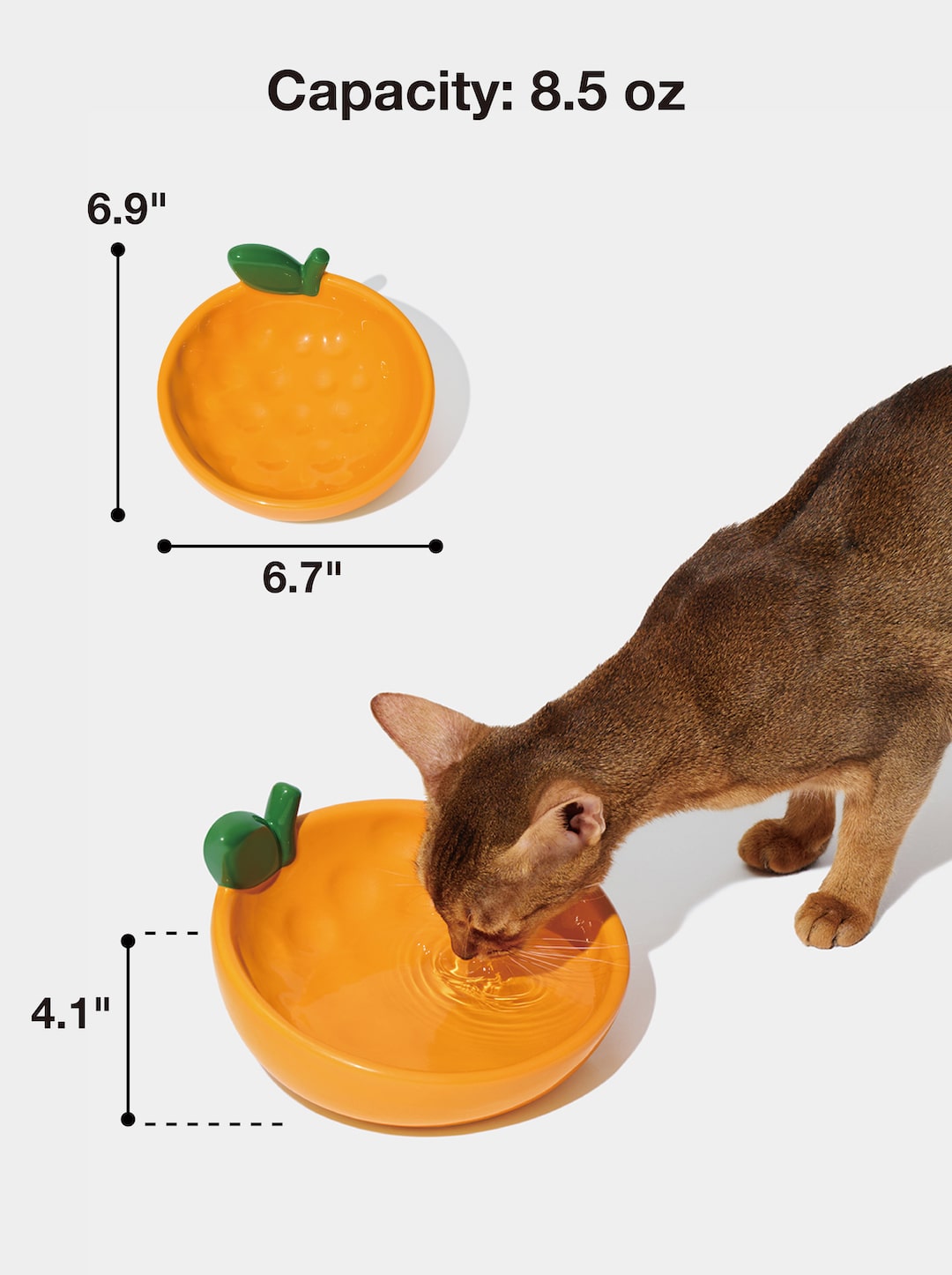 CITRUS Ceramic Pet Bowl (2) — additional view 1