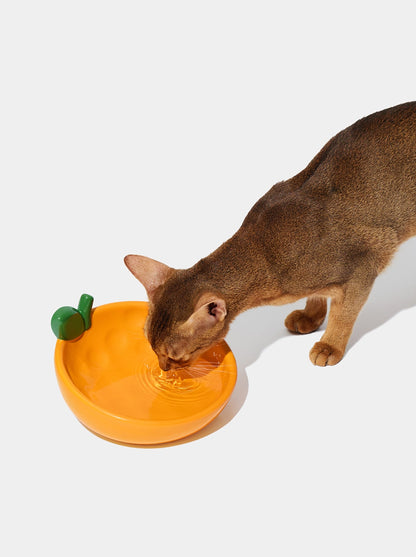 CITRUS Ceramic Pet Bowl (3) — detail shot