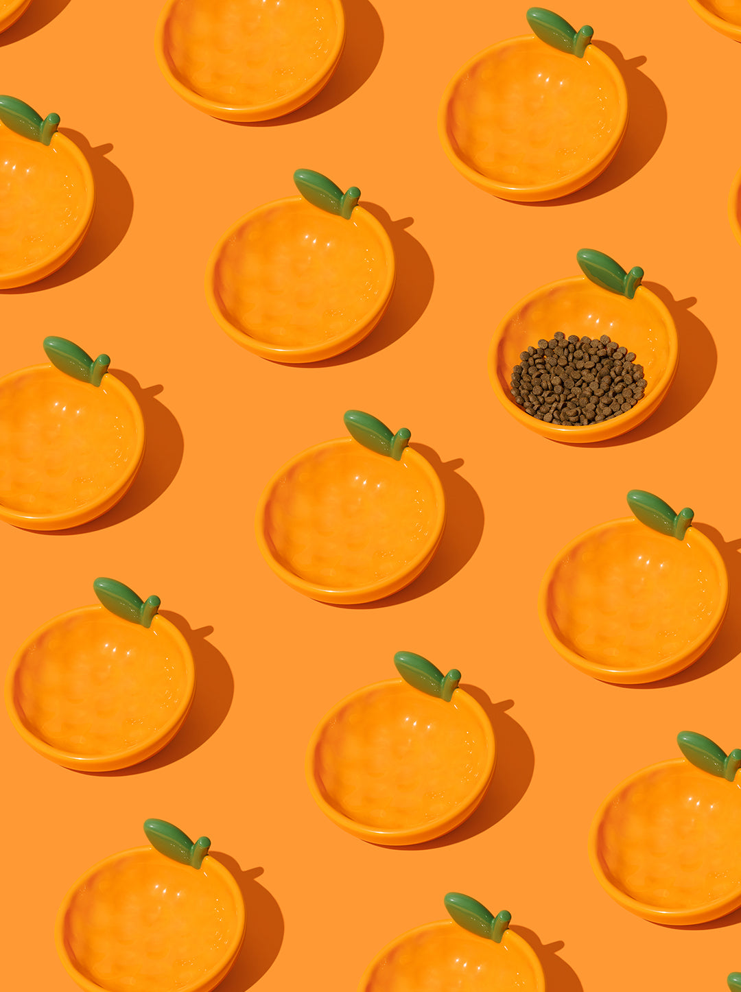 CITRUS Ceramic Pet Bowl (3) — close-up detail