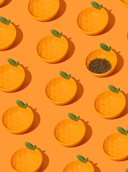 CITRUS Ceramic Pet Bowl (3) — close-up detail