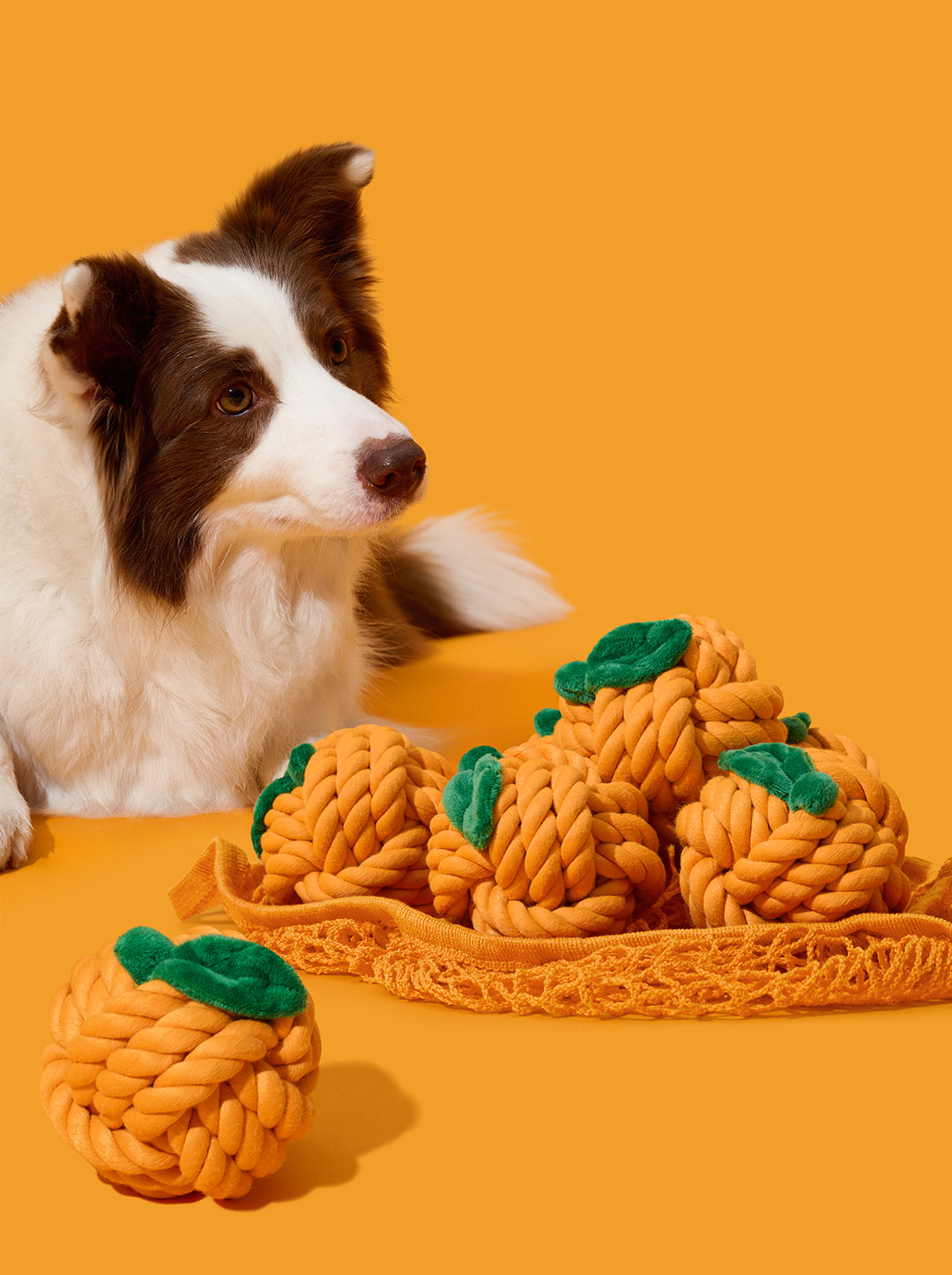 CITRUS Knot Rope Toy — alternative angle