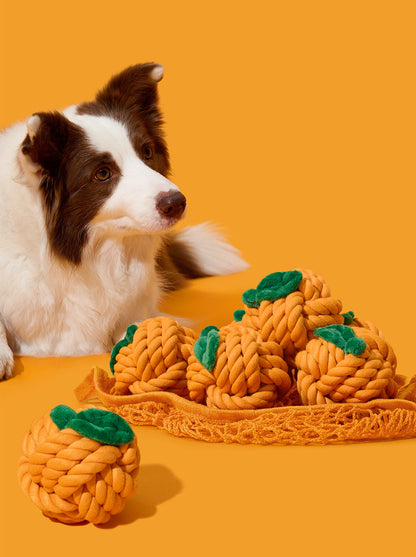 CITRUS Knot Rope Toy — alternative angle