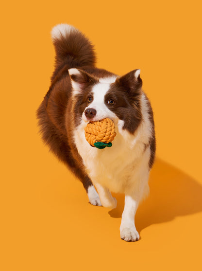 CITRUS Knot Rope Toy — main product photo