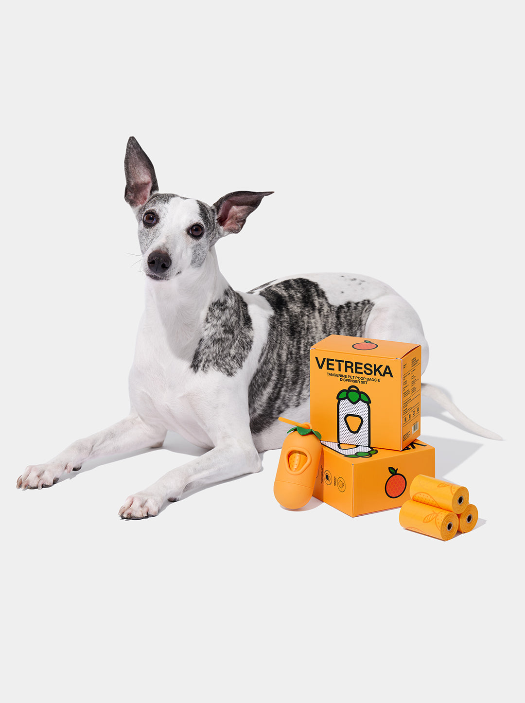 CITRUS Poop Bags & Dispenser Set — styled in a home setting
