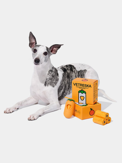 CITRUS Poop Bags & Dispenser Set — styled in a home setting