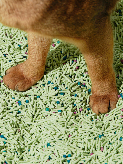 Green Tea Scented Tofu Cat Litter — alternative angle