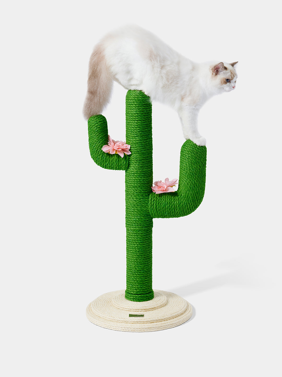 HAVEN DUNE Cat Tree 31” — styled in a home setting