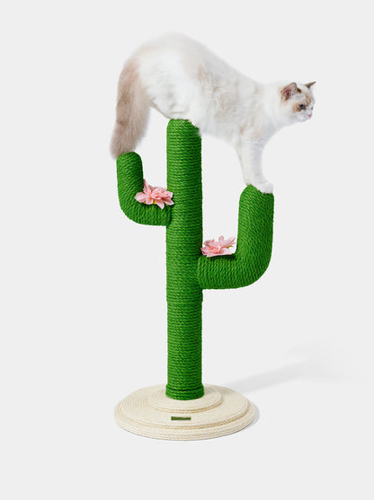 HAVEN DUNE Cat Tree 31” — styled in a home setting