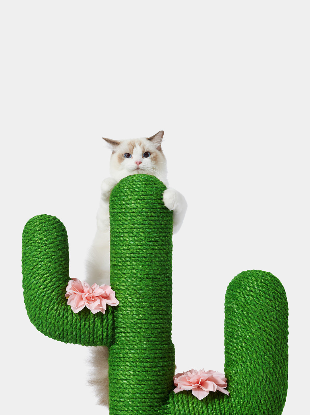 HAVEN DUNE Cat Tree 41” — detail shot