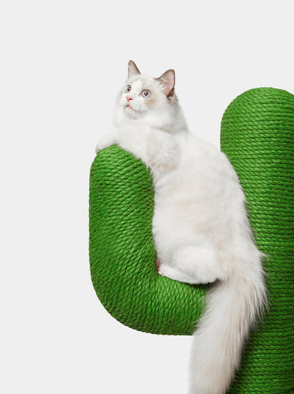 HAVEN DUNE Cat Tree 65” — detail shot