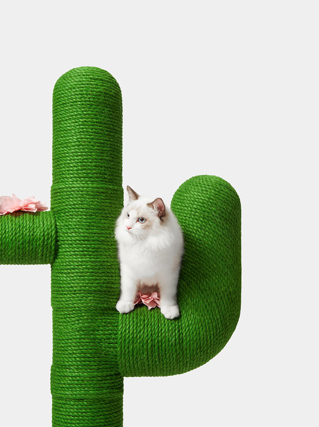 HAVEN DUNE Cat Tree 65” — alternative angle