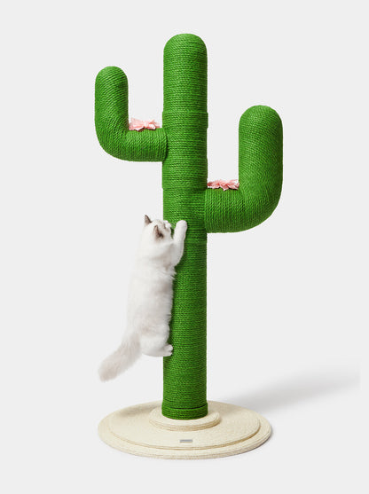 HAVEN DUNE Cat Tree 65” — in use