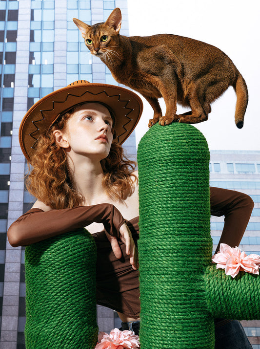 HAVEN DUNE Cat Tree 65” — main product photo