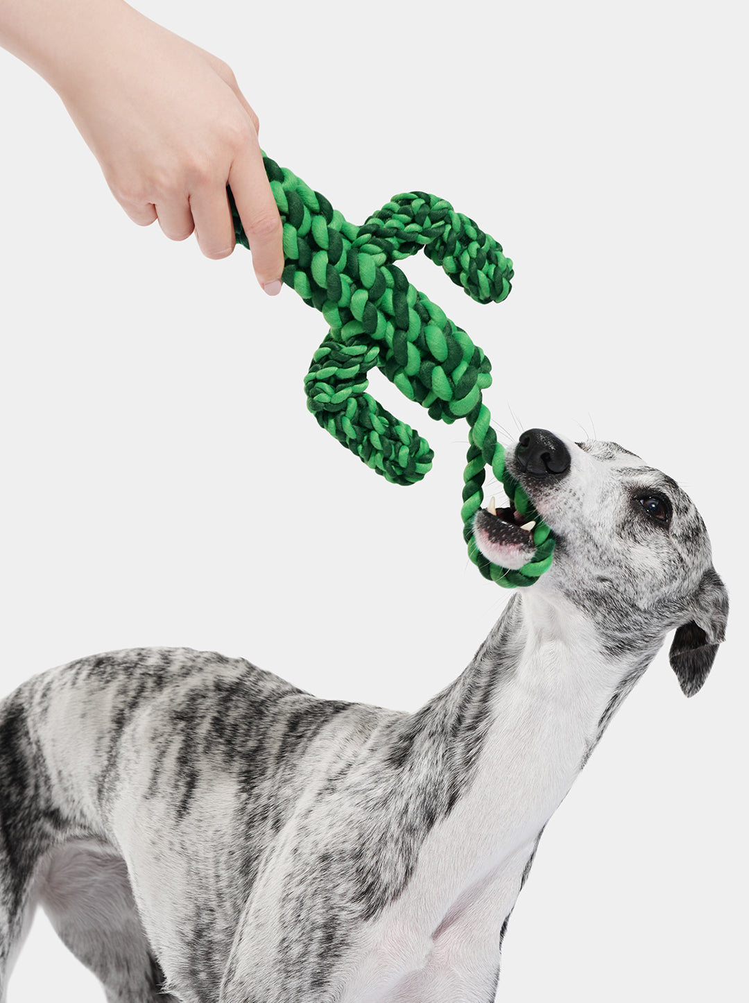 HAVEN DUNE Knot Rope Toy — detail shot