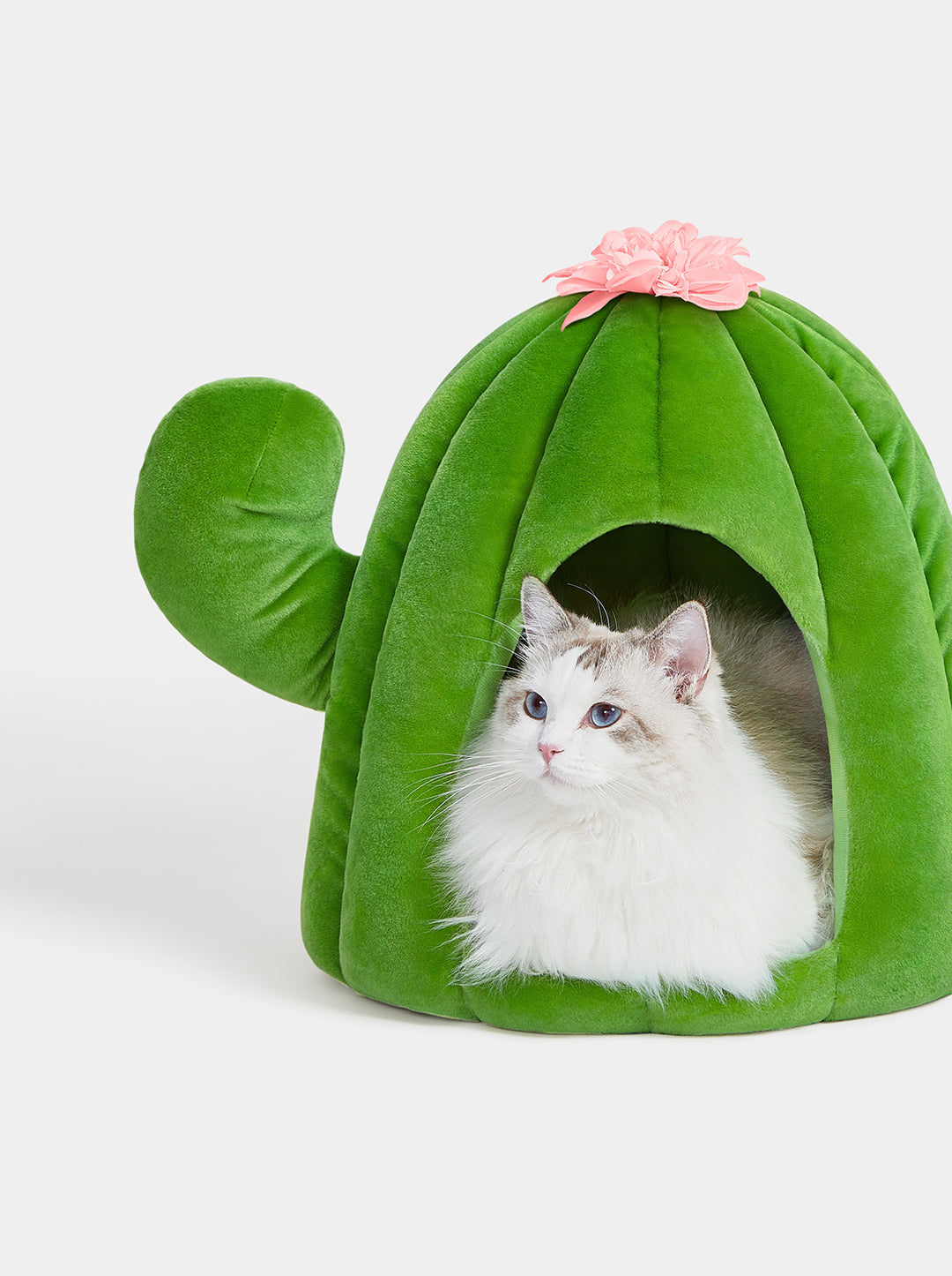 HAVEN DUNE Pet Bed — detail shot