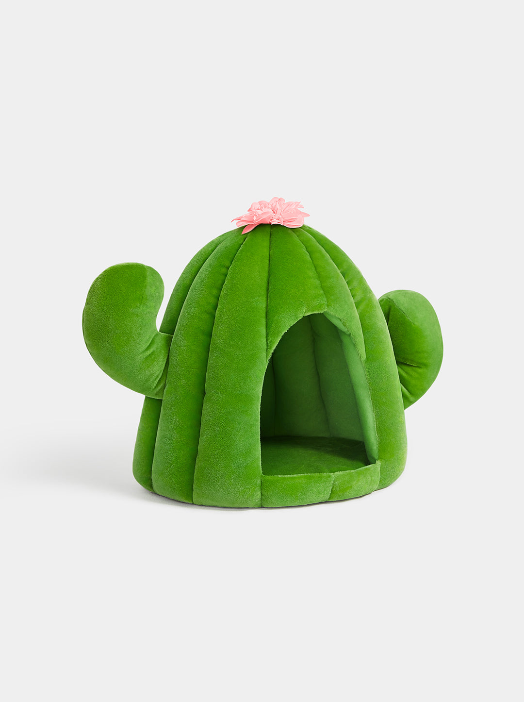 HAVEN DUNE Pet Bed — styled in a home setting