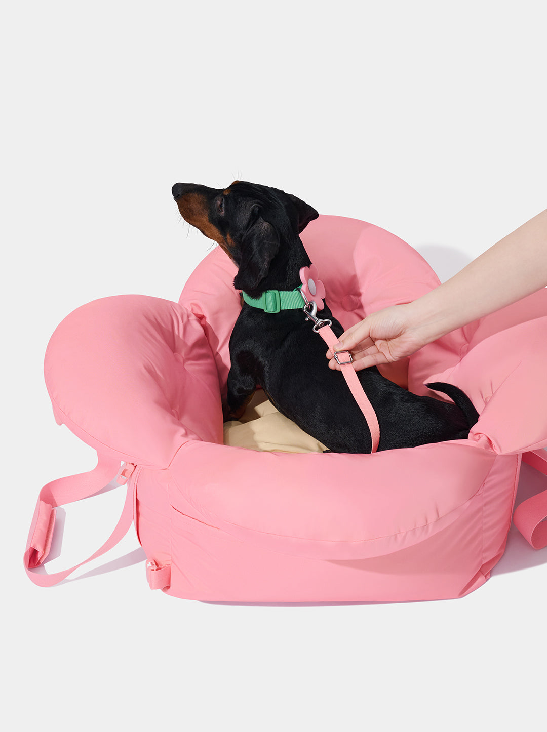 MEADOW Car Seat Pet Carrier — alternative angle