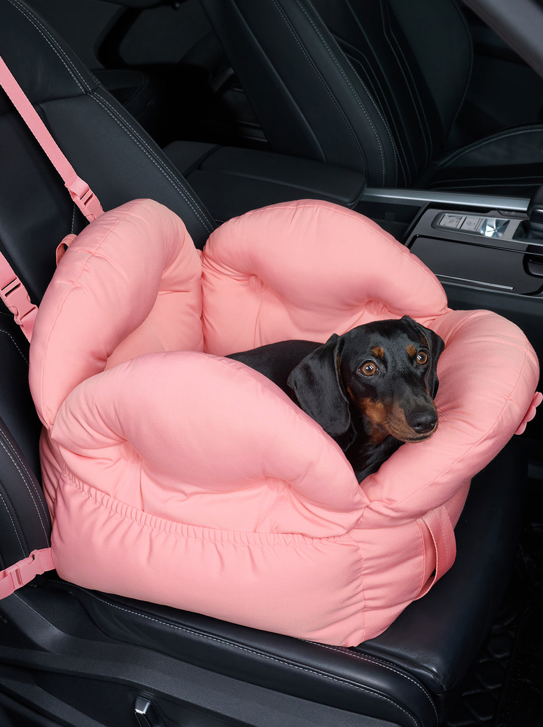 MEADOW Car Seat Pet Carrier — styled in a home setting