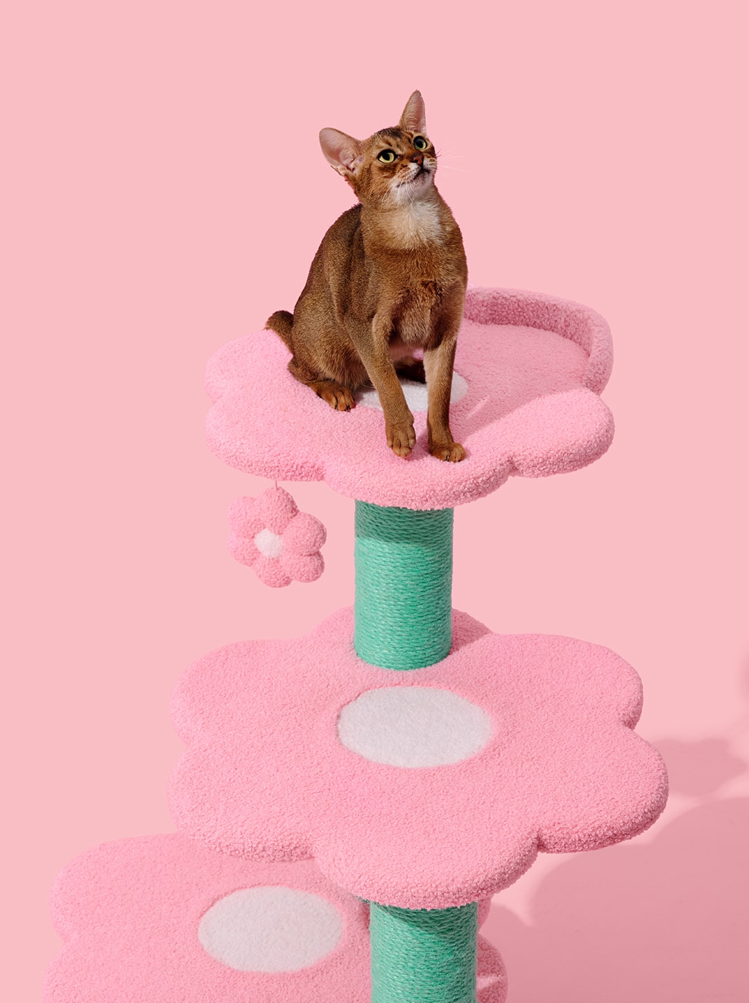 MEADOW Cat Climber - Four Platforms — close-up detail
