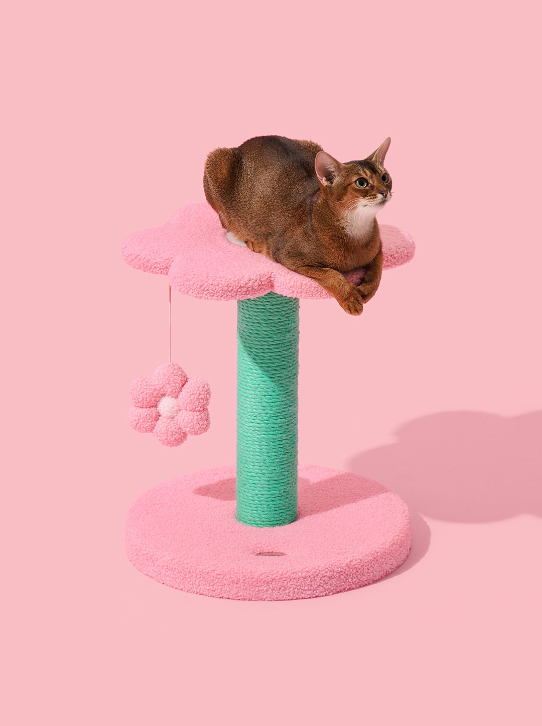 MEADOW Cat Climber - Two Platforms — styled in a home setting