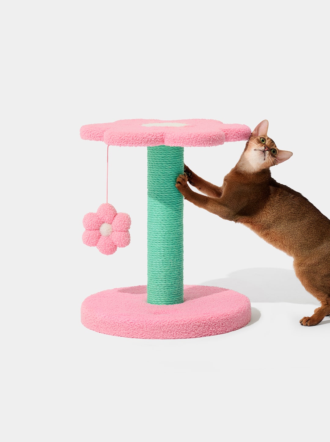 MEADOW Cat Climber - Two Platforms — in use
