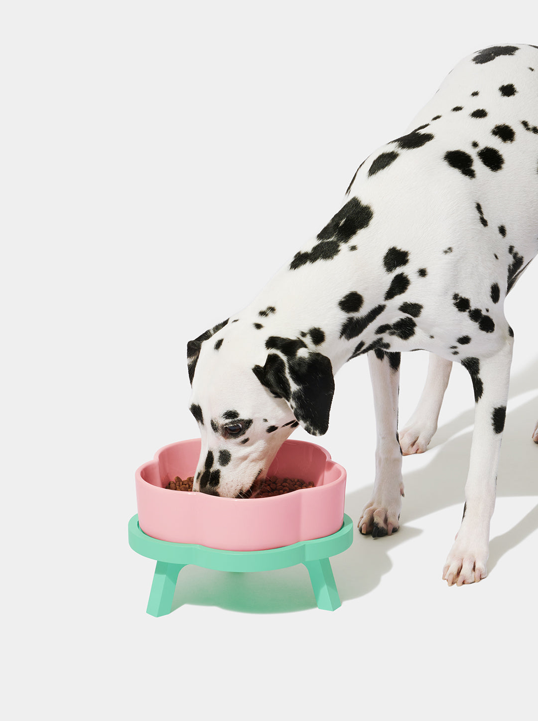 MEADOW Ceramic Pet Bowl — styled in a home setting