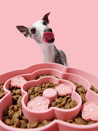 MEADOW Silicone Pet Slow Feeder — detail shot